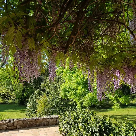 L'enclos Du Vieux Chene * גהיסונאצ'יה