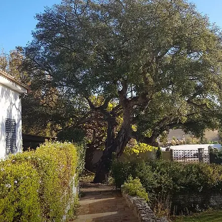 בית הארחה L'enclos Du Vieux Chene *